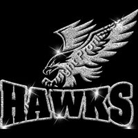 GLT32 SILVER GLITTER Thumbnail